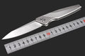 8'' New CNC M390 Steel Blade Full T4C Titanium Handle Pocket Camping Utility Outdoor Folding Knife DF96
